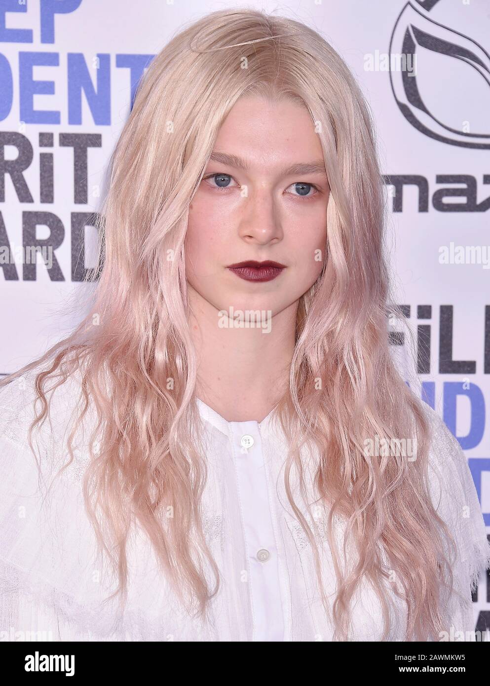 SANTA MONICA, CA - FEBRUARY 08: Hunter Schafer attends the 2020 Film