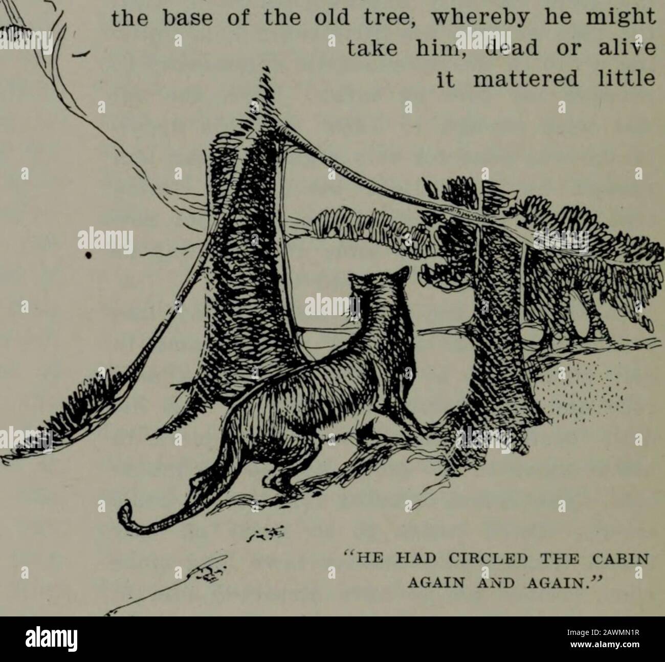 Western Field Othing Save The Marks On The Faceof The Boulder Where The Lionsgreat Claws Had Gathered Togetheras He Leaped Down Into The Trail Tofollow The Unsuspecting One Home Ward Against This