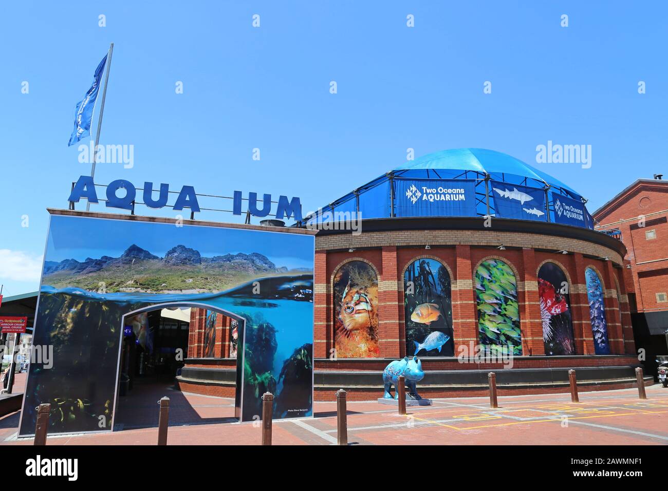 Two Oceans Aquarium Marina V A Victoria And Alfred Waterfront Cape Two Oceans Aquarium Marina V A Victoria And Alfred Waterfront Cape