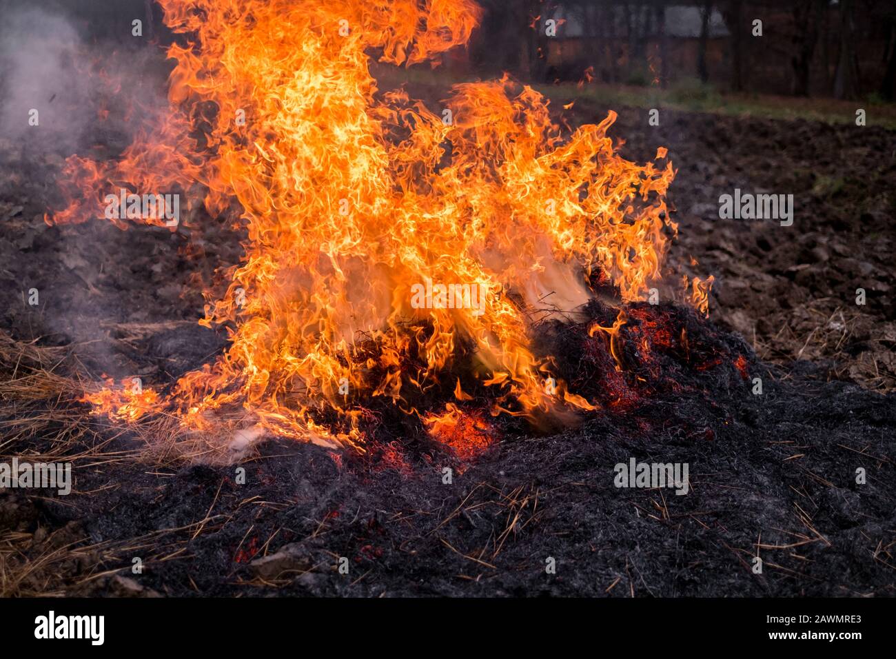Fire burns straw field after harvest Stock Photo Alamy