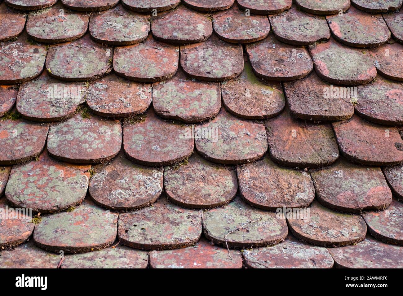 old shingle with lichens, close view Stock Photo
