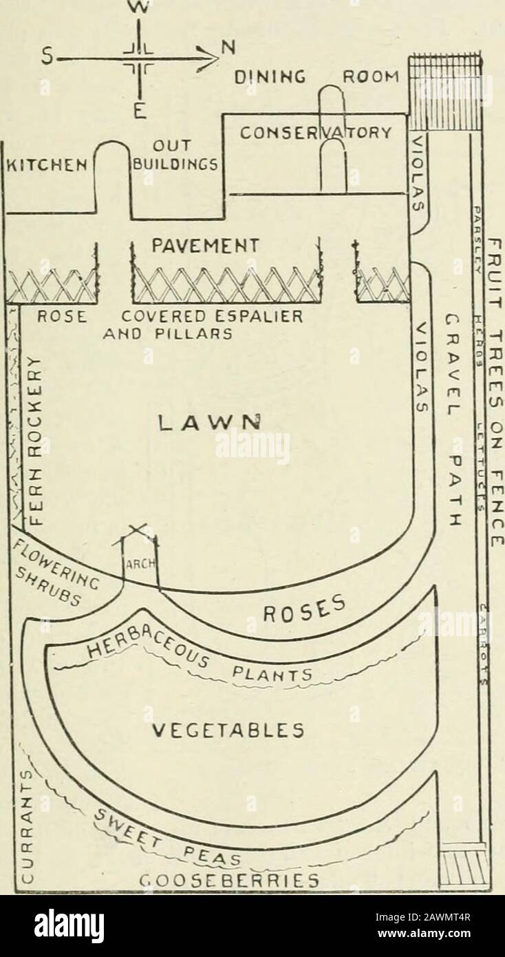 Garden planning and planting . appear. Michaelmas Daisies, Pyrethrum uliginosum.Phloxes, Chrysanthemums will be tall enough to hide the vegetables. A Grass Walk is the distinguishing feature of the garden,Fig. 2. When there is not much space for a lawn, a wide turf path ofthis sort looks beautiful, and if flanked by a mixture of evergreenand flowering shrubs with front bordering of herbaceous dwarf, orsemi-tall plants, will ofter seclusion and originality combined. Hostsof Pinks, Violas, Dianthuses, Arabises, Aubrietias, Iberises, Icelandand Alpine Poppies, Polyanthuses, Auriculas, Forget-me-n Stock Photo