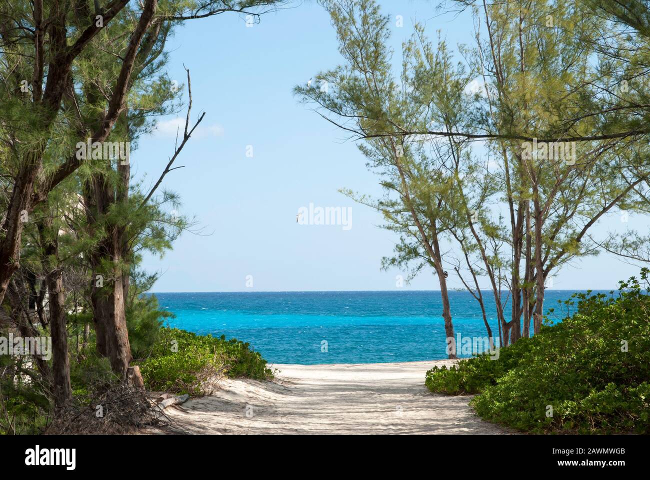 The entrance to Cabbage Beach, the public beach on Paradise Island