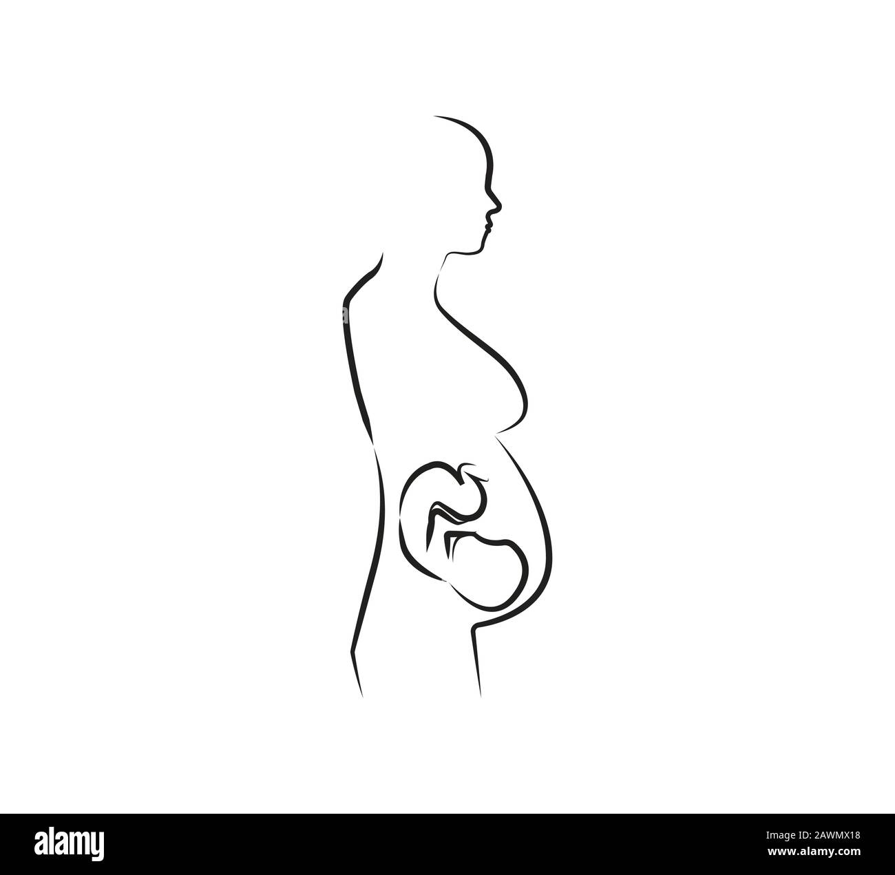 Woman Pregnant, line icon. Vector illustration. Flat. Stock Vector