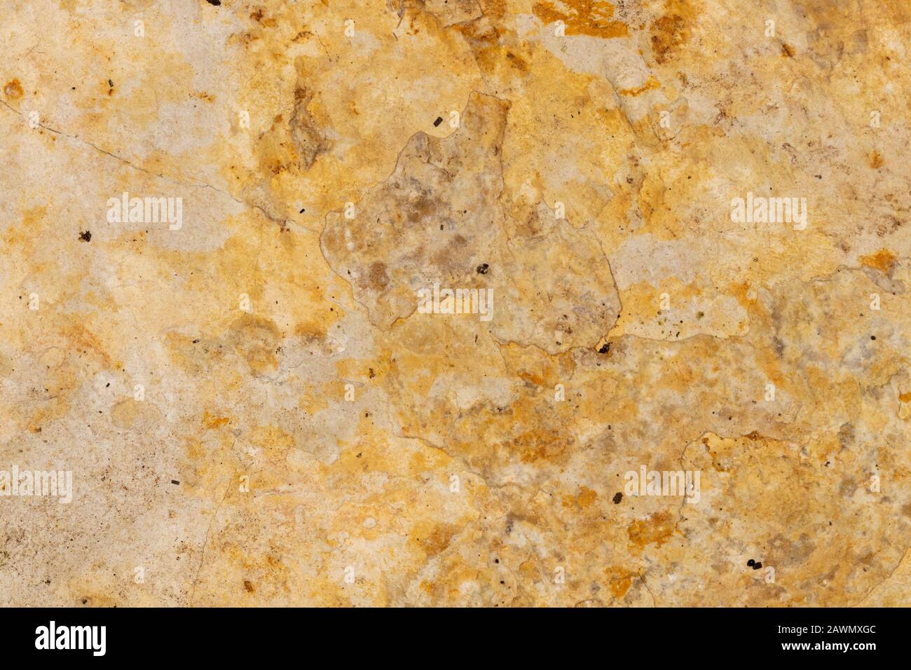 Light colored textured limestone rock Stock Photo