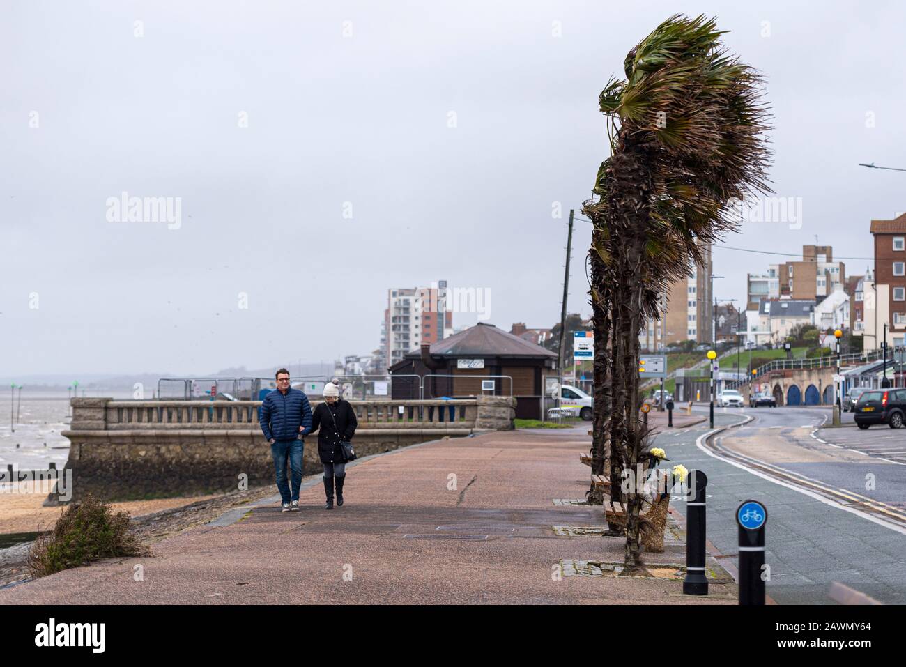 People walking along the promenade passing wind blown palm trees on seafront as storm Ciara affects the weather in Southend on Sea, Essex, UK Stock Photo