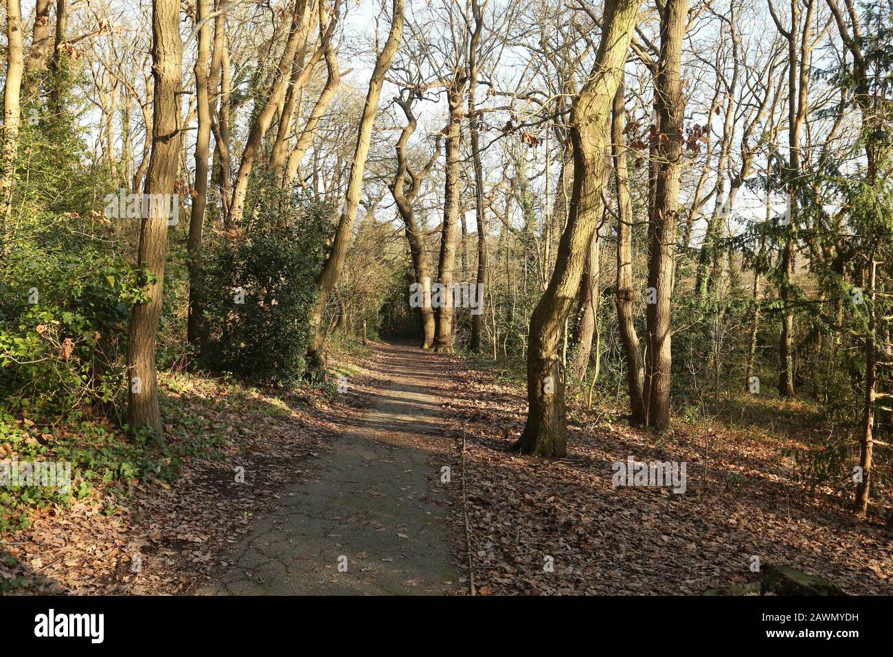 Woodland trails hi-res stock photography and images - Alamy