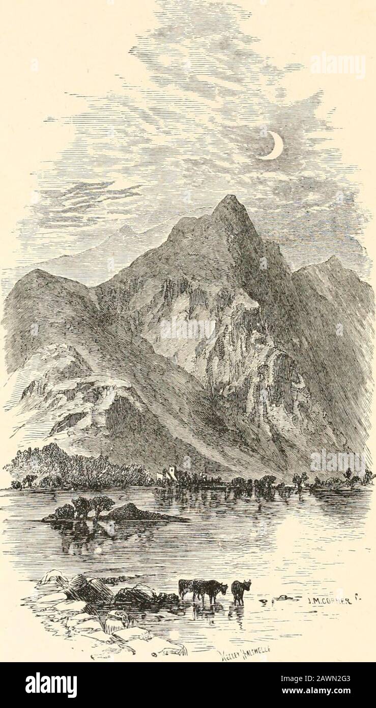 Pen And Pencil Pictures From The Poets Ve And Friendship Both That Is Not Pleased With Sight Of Animals Enjoying Life Nor Feels Their Happiness Augment His Own The Bounding Fawn