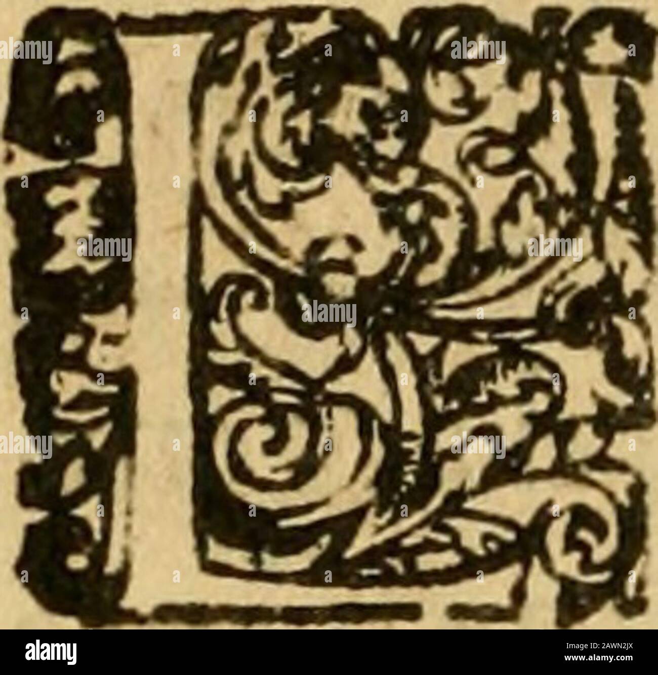 Plus Que Reine High Resolution Stock Photography And Images Alamy