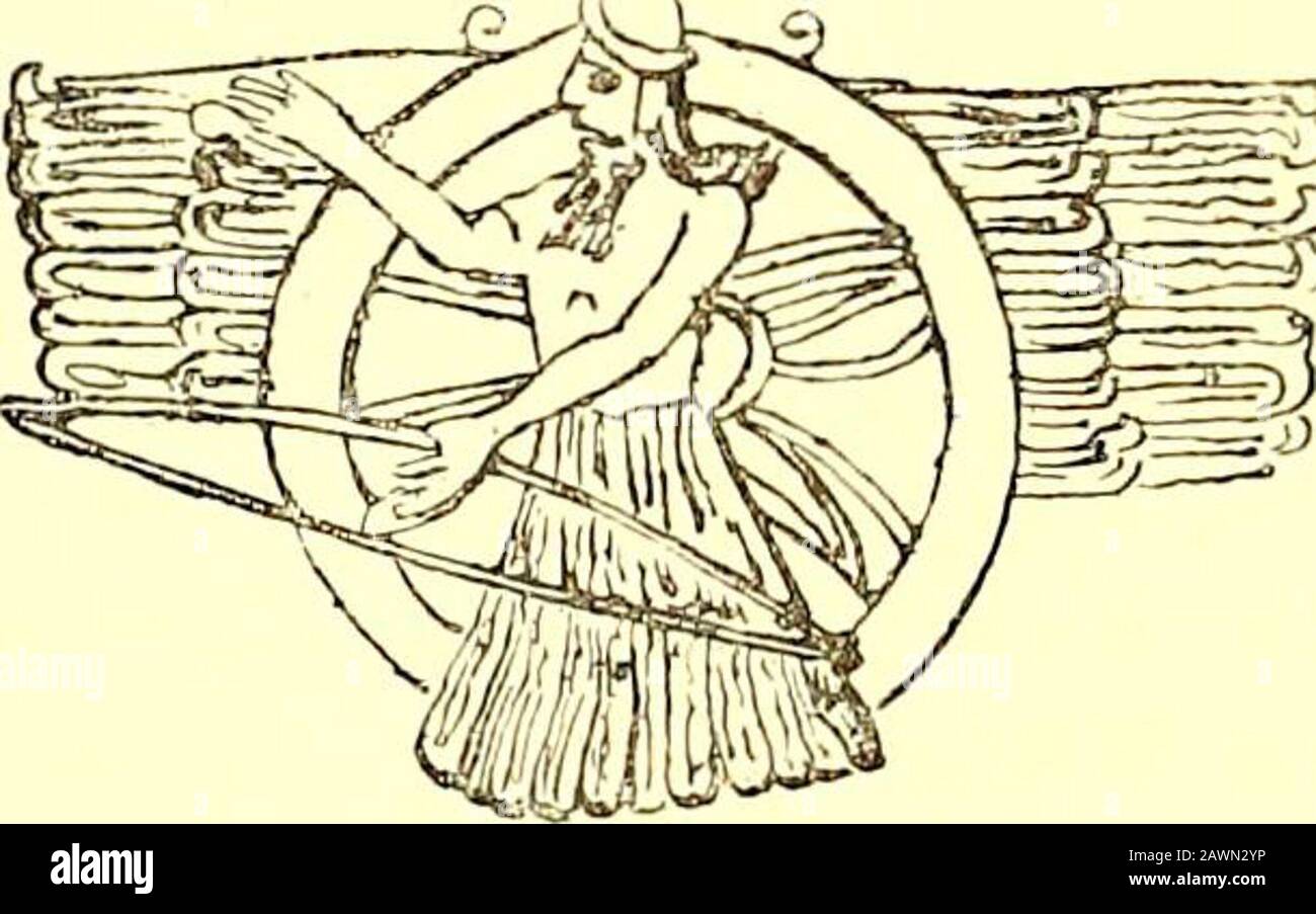 The Night Life Of The Gods - Broché - Achat Livre