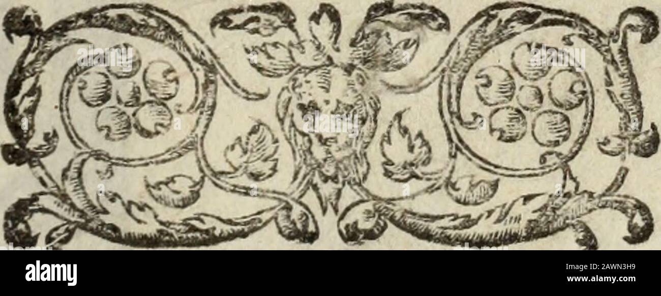 Alivio de tristes, e consolaÃ§aÃµ de queixosos : seis partes divididas em dous volumes, nesta ultima edicÃ§aÃµ . 294. c. j. et ieq. et p. Jlí, G.2. /^//ií?õ ^f«i/&lt;í. P. ^p 5 7 5»c.i.jn fin.éc íeq./^//?j P.i. p.2C a-^ P.; P.508.C 2; p.  44.C.2 et p. 574 c-i et íeq./^/rí)Mj5Çc,2.p.37éf.c.2.p.j9-«c.i.;tp.411,0.1. Urbanidade Pclitica, Vide Ccttcíii. Fulgo.Vidi: erb.Povo« LAUS D E O. ALIVIO D E r-^f-7 ^ Xv, A wJ X AJ-/ C5 E CONSOLAÇAM QUEIXOSOS. ^ COMPOSTO P.i. P- MATHEUS RIBEIRO, Parocho da Azoeirâ,The0logo Pregador deíle Arcebif**pado, e oaíural deftâ Cidade de Lisboa ; T O M O II. OFFERECID Stock Photo