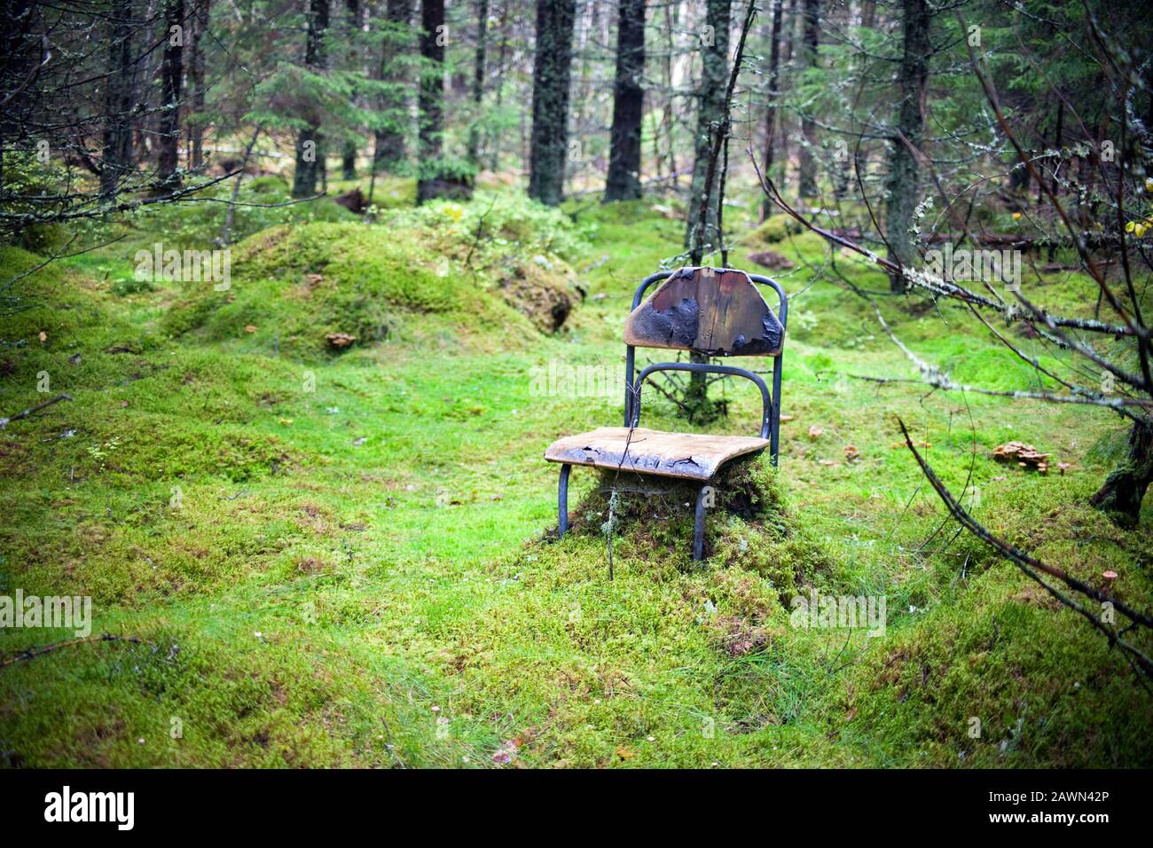 Abandoned, lost forest place with very old and damaged chair for ...