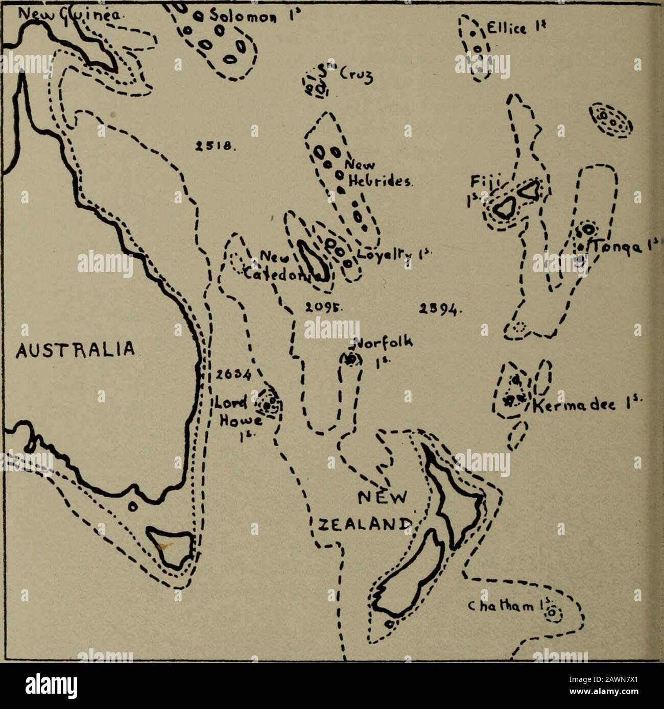 Age and area; a study in geographical distribution and origin of species . ima with a slight drop between them, but to have onemaximum only is the general rule. One might therefore predict that one would find the endemicspecies of any genus in New Zealand to form such a curve, andthis proved to be the case for every genus in the flora. A fewexamples are here given: Zone in miles 0 100 200 300 400 500 600 700 800 900 to to to to to to to to to to 100 200 300 400 500 600 700 800 900 1000 Ranunculus 2 3 5 7 11 12 18 18 10 Drimys 2 2 2 2 2 3 3 2 1 1 Pittosporum 11 11 11 11 8 7 6 6 5 5 Colobanthus Stock Photo