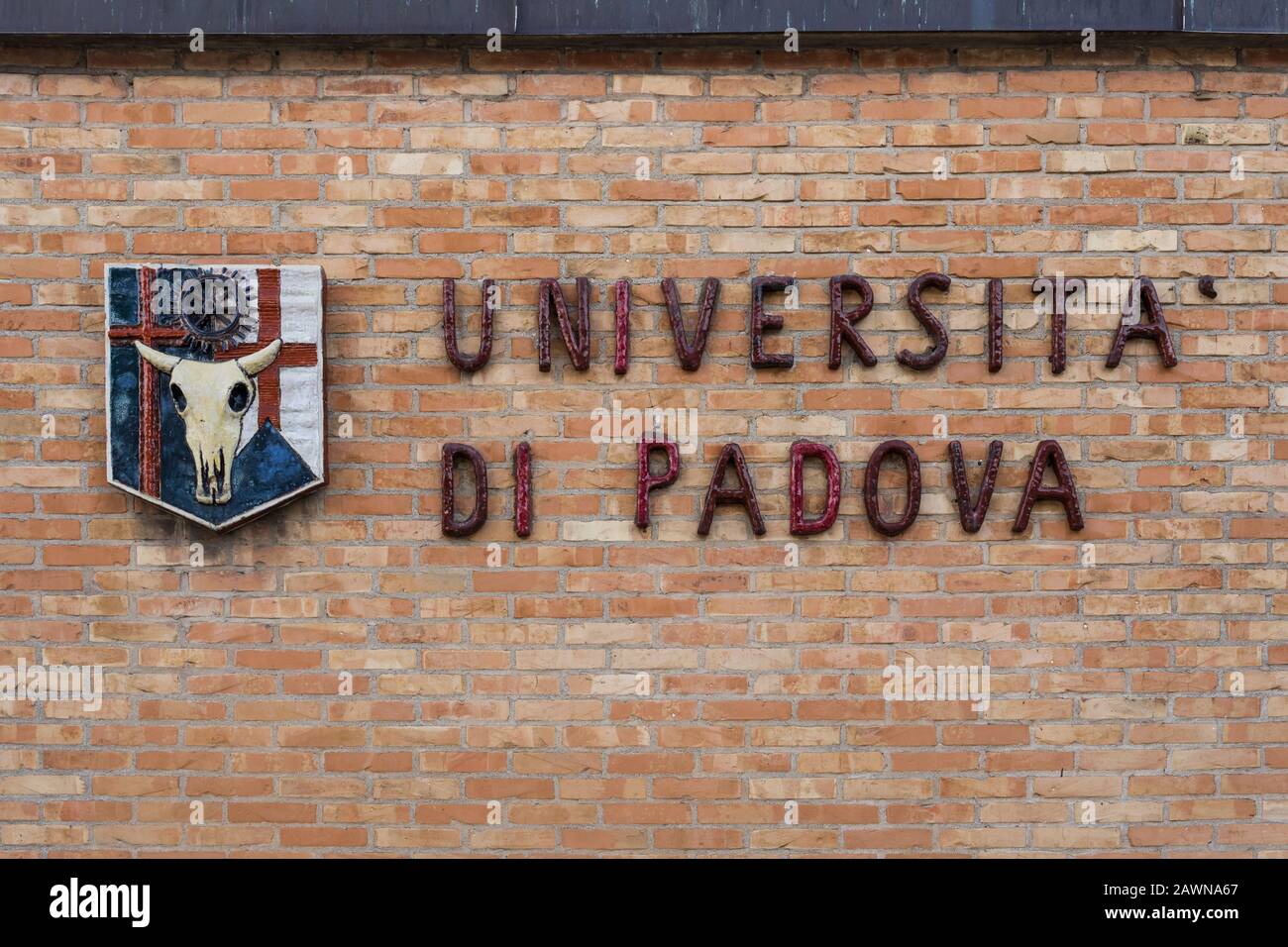 Centro Consorzi | Sedico, image size:1300x956