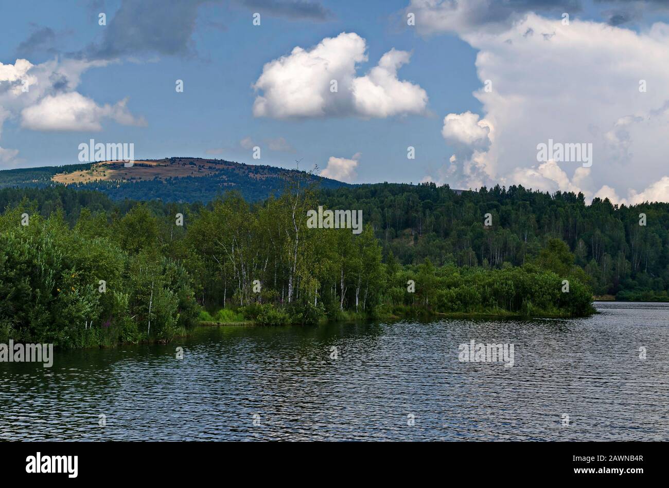 Landscape with floating island, part peat two metre deep with vegetation and animals in Vlasina mountain lake, anchored to the shore by land, Serbia Stock Photo