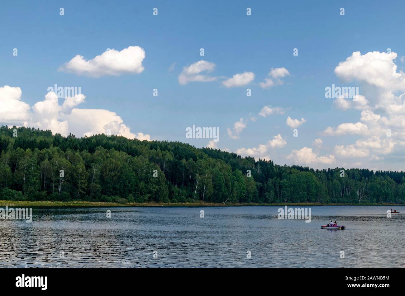 Beautiful fresh forest and glade on the shore of artificial Vlasina mountain lake, South eastern Serbia, Europe Stock Photo