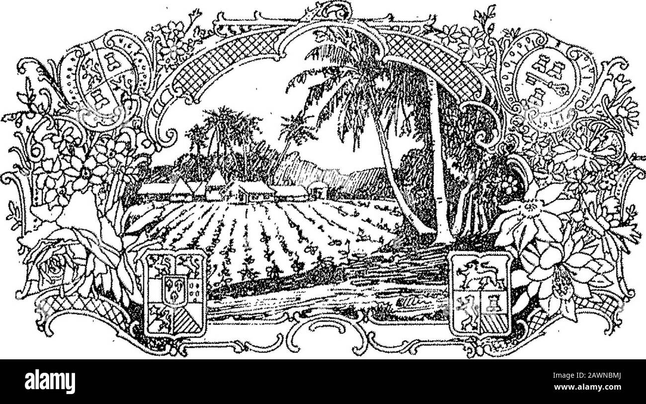 Boletín Oficial de la República Argentina1904 1ra sección Stock Photo