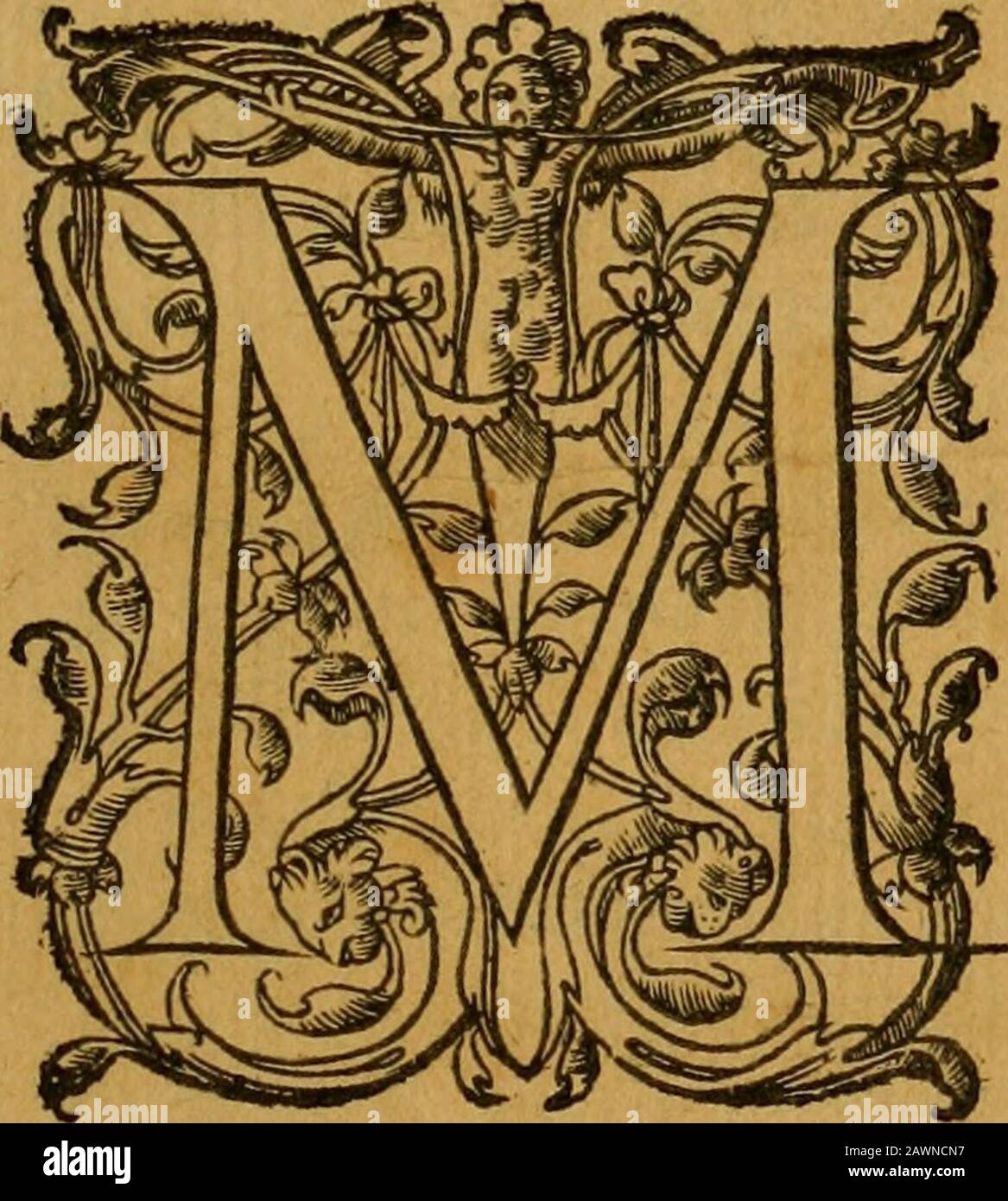 Le romant des chevaliers de la gloire, : contenant plvsievrs ..aduentures des princes ..qui parurent aux courses faictes à la Place royale pour la feste des alliances de France & d'EspagneAvec la description de levrs entrees, equipages, habits, machines, deuises, armes & blasons de leurs maisons. . A PARIS, Cnezlavefue Pisrre B erta v D,aumont S. Hilaireà IEftoilc doî couronnée. & à fa boutique en la grande Court du Palais prés de lAudience. M! D C. X 11.AVEC PJ^iriLEGE D t H.OT. ! «# A LA REYNE REGENTE.. kA D J M E VOÎCY le discours dece qui sefl pajféa la PlaceRoyale; pour la Fefle des alli Stock Photo