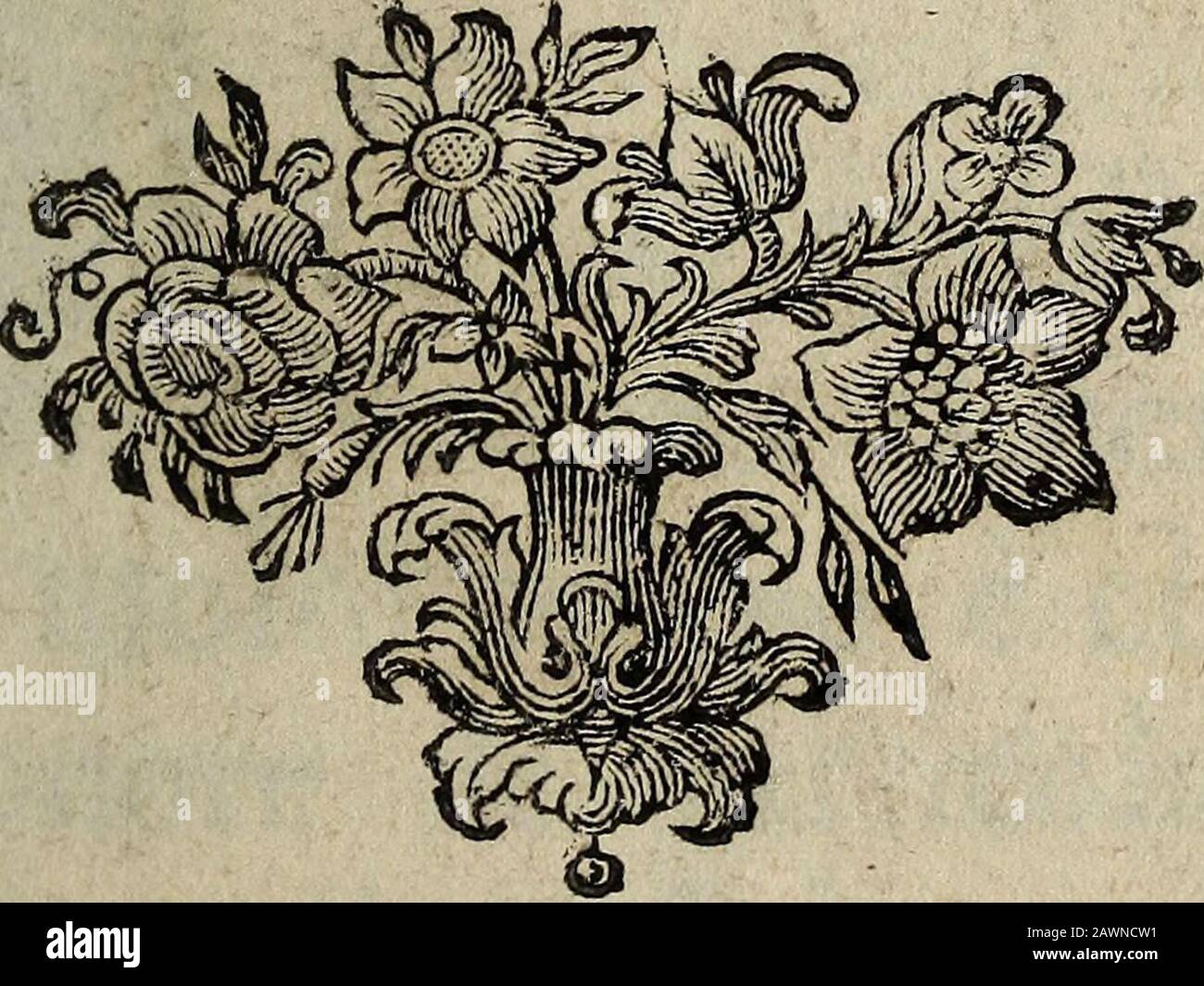 Mirza-Nadir : osia, Memorie del marchese di Sandè, governatore della provincia di Candahar al servigio di Thamas Kouli-Kan, re di Persia . IN VENEZIA MDG€Lia Pretto Giorgio Fossati Architétto ec. ec. In Caftel Forte San Rocco. CON LICENZA DE SUPERIORI 3 E fRWlLEGlO. in , .- *< lE C CltUNZA, Stock Photo