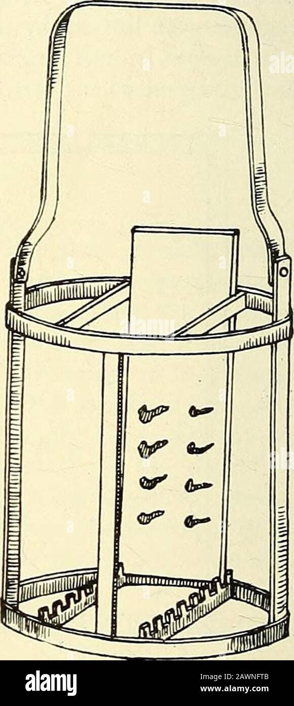 The microscope; an introduction to microscopic methods and to histology . Fig. 158. A slide holder andbottle for containing the same {Mix,Journal of Applied Microscopy, vol.1, 1898, p. 169.) Fig. 759. Slide holder with thebail hinged so that it may be turnedaside in inserting or removing theslides. When the collodion is dry place the slide in benzin or xylene to dissolvethe paraffin (see  291). If the sections are not extended on water, they may beput directly on the albumenized sides, pressed down with the finger and coatedwith collodion. This is much more rapid, but does not get rid of the Stock Photo
