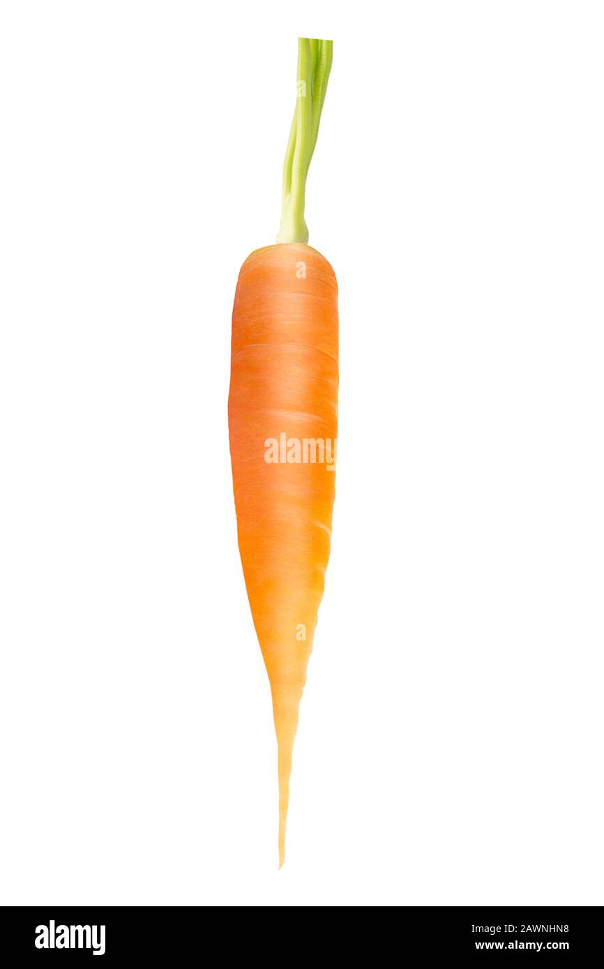 One whole fresh carrot on white background Stock Photo