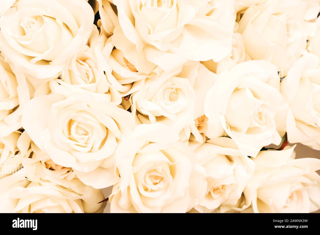 White cream-colored ivory artificial floral background for different design  Stock Photo - Alamy