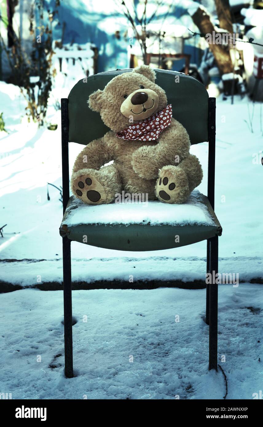 big teddy bear sits on an old chair in the middle of the snow ...
