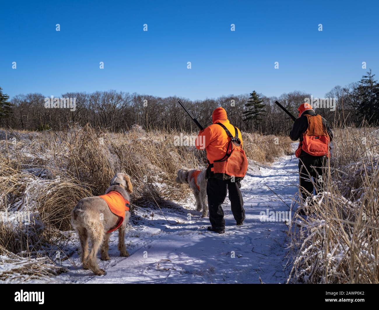 Addieville east farm hires stock photography and images Alamy