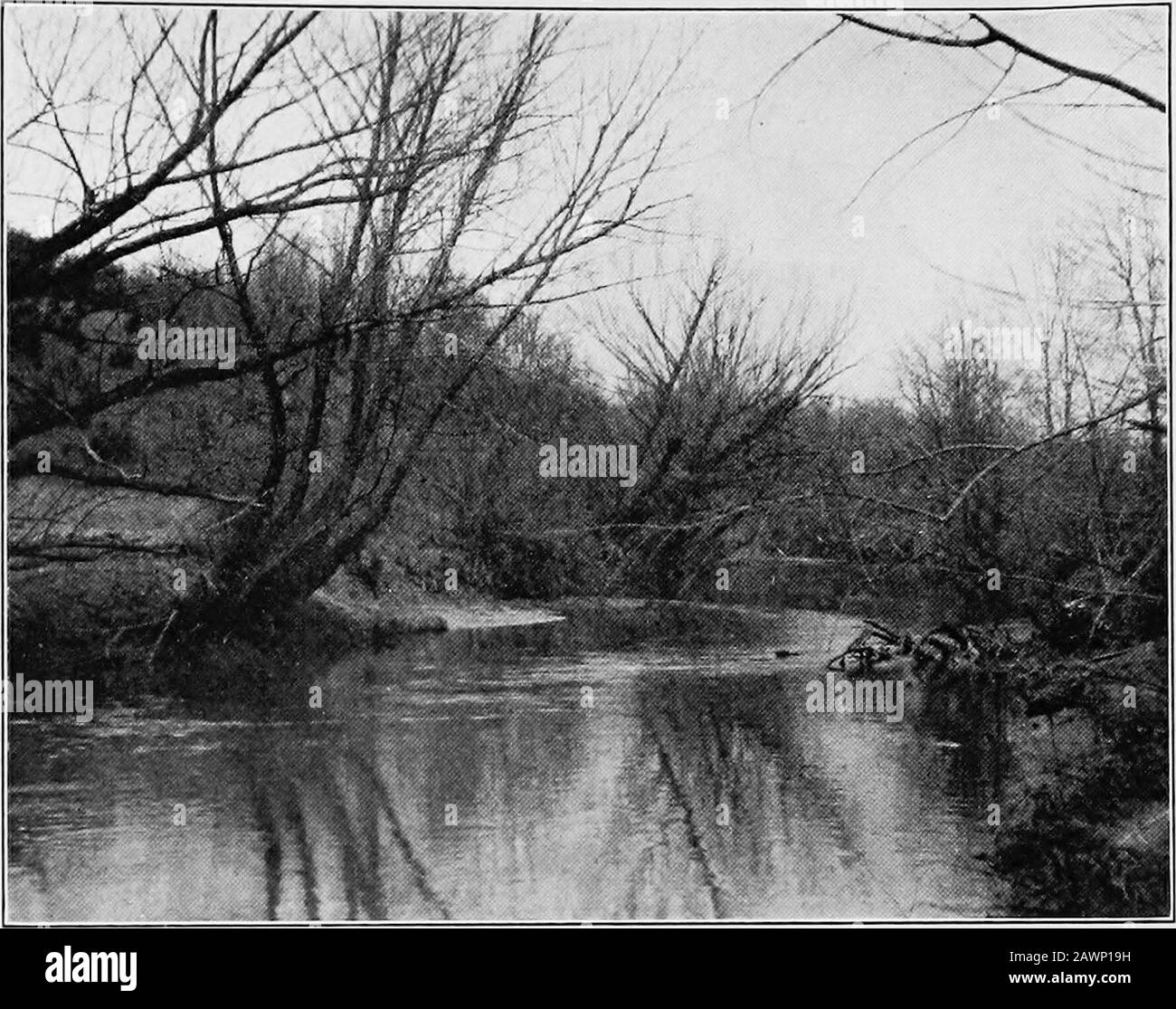 A rural survey in Maryland, made by the Department of church and country life of the Board of home missions of the Presbyterian church in the U.S.A... . rnestown 342.9 Quince Orchard 435 Darnestown .400 Bethesda 282.2 Chevy Chase 300 Olney 449. Olney 544 Sandy Spring 500 Gaithersburg 429.1 Gaithersburg 508 German town .475 6 Potomac .364 a Bamesville .575 Boyds ...400 5 Damascus ...787 9 Wheaton ...459 Potomac 329.6 BarnesvUle 475. Damascus 665 Wheaton 342 As is usually the case with rolling, partially-wooded land, the countryhas much picturesque scenery. Almost every hill-top is a vantage poi Stock Photo