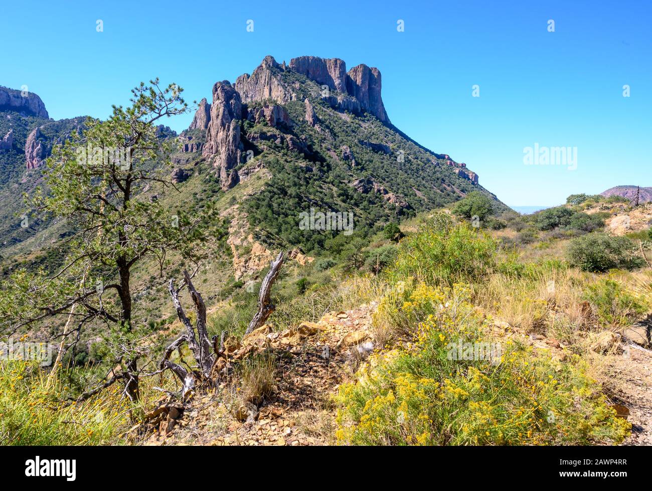 Mountain view from Lost Mine Trail in Big Bend National Park in West Texas. Trees and desert shrubbery in the foreground Stock Photo
