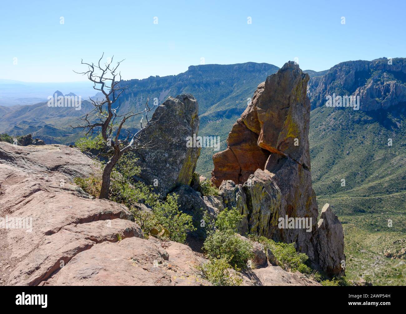 View of a dead tree and rocky outcrop from the top of Lost Mine Trail inside Big Bend National Park near the West Texas town of Terlingua Stock Photo