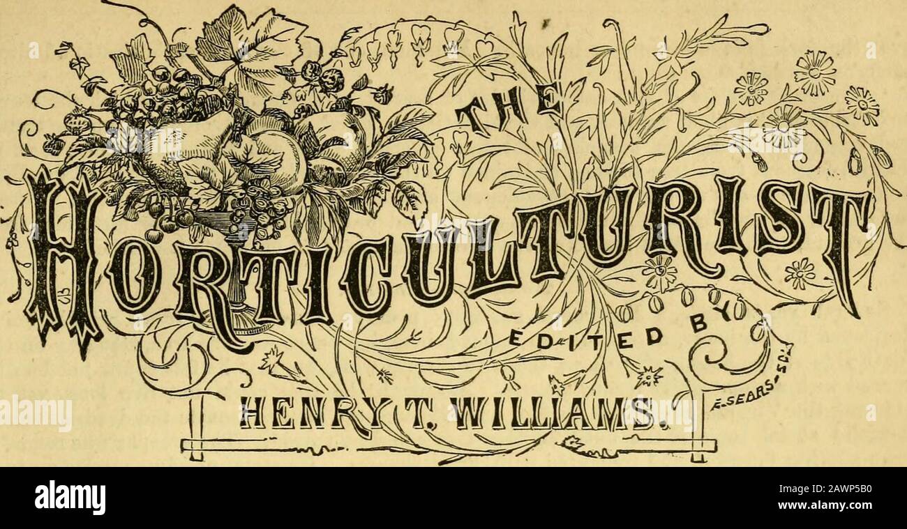 The Horticulturist and journal of rural art and rural taste . ers. S. B. Fanning, Jamesport, L. I.—Price List of Choice Farm Seeds. R. D. Hawley, Hartford, Ct.—Ciicular of Tomato. Reisig 4 Hexamer, Newcastle, N. Y.- Circular of Seeds, Potatoes and Small Fruits. Edward F. Jones, Binghampton, N. Y.—Catalogue of Scales. S. L. Goodale, Augusta, Me.—Address on Commercial Manures. G. E. Cleeton, New Haven, Ct.—Catalogue of Poultry Breeders and Fanciers. Bennett Sf Davidson, Flatbush, L. I.—Spring Catalogue of New Plants. Suel Foster, Muscatine, Iowa. —Catalogue of Nursery. Jos. M. Wade, Philadelphia Stock Photo