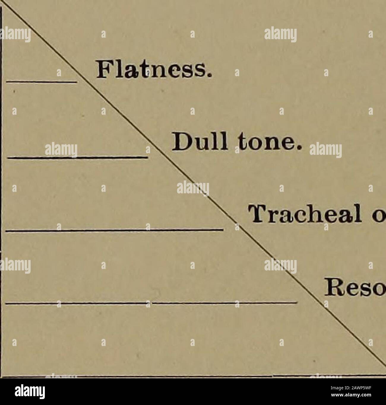 Physical diagnosis, including diseases of the thoracic and abdominal organs : a manual for students and physicians .. . physical condition of thepart percussed. The duration of sound depends upon the length of thewaves and their persistence, and varies directly withthe pitch and intensity. Fig. 22. Flatness. Dull tone. Tracheal or tubular tone.Resonant tone. .Tympanitic tone.Volume and duration.Diagrammatic sketch of the relations of the elements of tone. The perpen-dicular line represents the pitch. The transverse line thevolume and duration. The elements of sound have a definite relationship Stock Photo