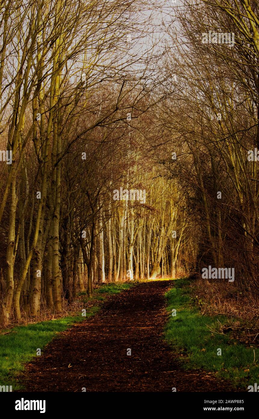 Campton to shefford hires stock photography and images Alamy