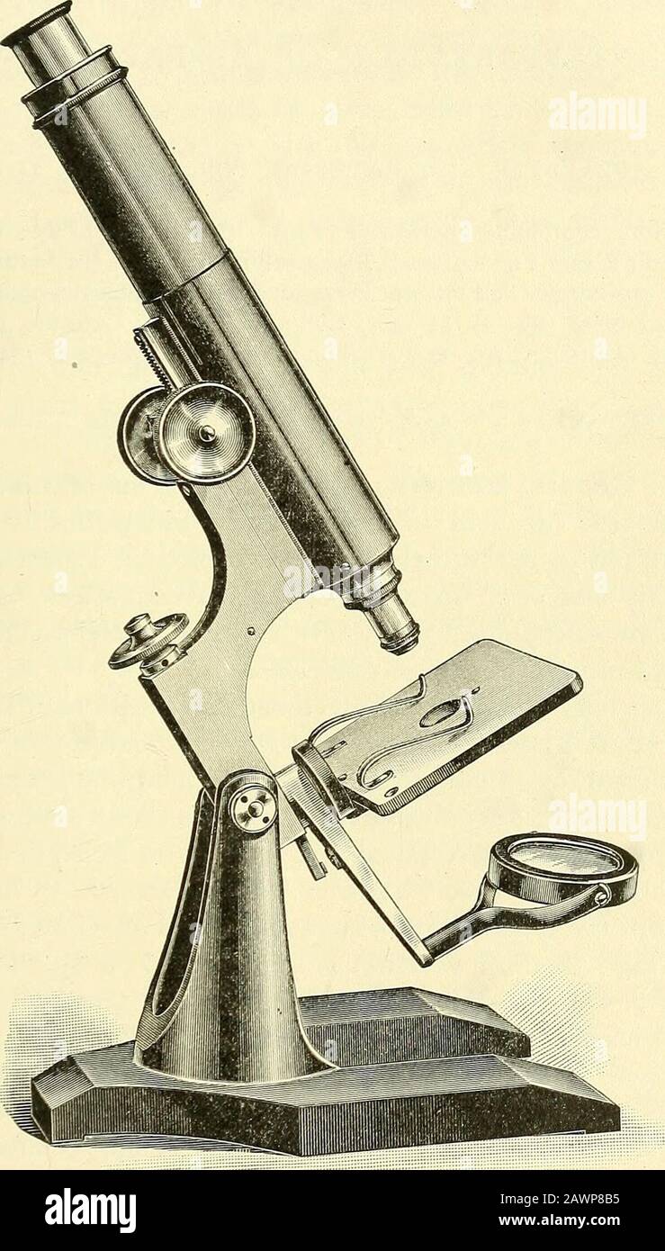 Histology slides hires stock photography and images Alamy