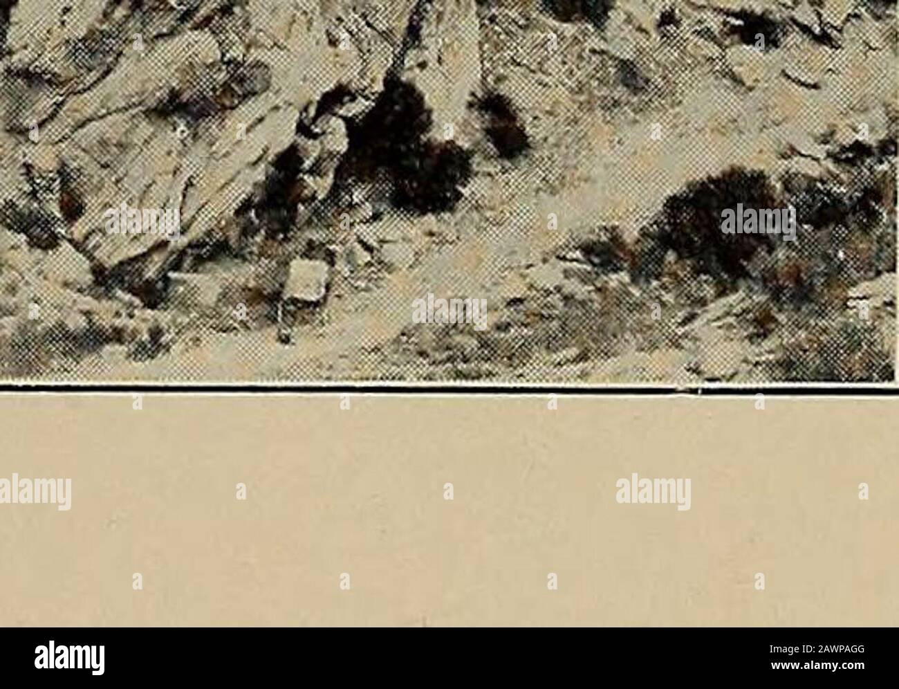 The amsden hi-res stock photography and images - Alamy