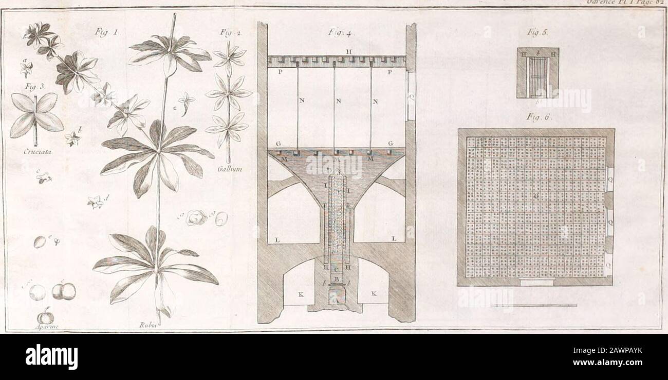 TraitÃ© de la garance, et de sa cultureAvec la description des Ã©tuves pour dessÃ©cher cette plante, & des moulins pour la pulvÃ©riser . uni wvÂ«.^ PI rPaa. DE LA Garance. 83Un (les dÃ©fauts de lÃ©tuve de Lille eflque la fumÃ©e qui fe mÃªle avec lair chaud,& qui traverfe les racines de garance, lescharge de fuliginofitÃ©s , qui altÃ¨rent pro-bablement la partie colorante, & qui pro-duifent peut-Ãªtre la diffÃ©rence quon re-marque entre les garances qui viennent duLevant & celles de Lille, celles-ci nÃ©tantpoint propres, comme on la dit, Ã tein-dre les cotons Ã la maniÃ¨re du Levant :de plus, o Stock Photo