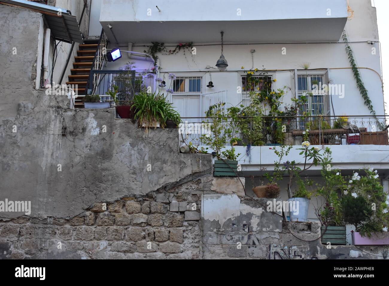 Potted plants on steps and balcony in Tel Aviv Stock Photo Alamy