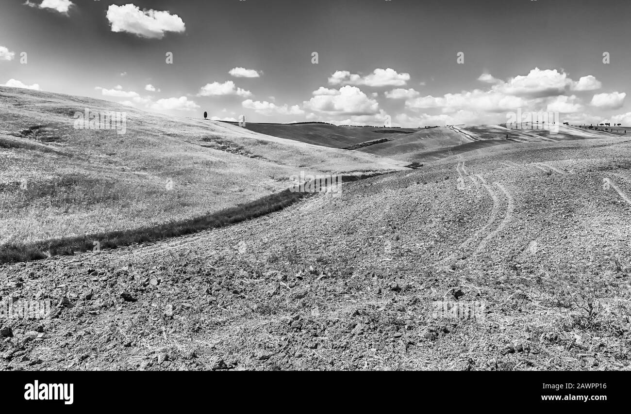 Green grass dry grass field Black and White Stock Photos & Images - Alamy