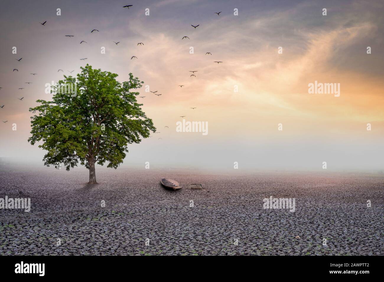 selective focus arid land and big tree stand alone on dry land, global warming concept Stock Photo