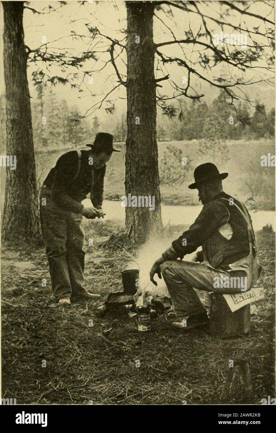 Highways and byways of the Pacific coast . ds and gatheredan armful of fallen branches, broke them up andadjusted the pieces on a rough circle of stones thatserved for a fireplace. Now, said the cook, we want some ladles. All right, responded the other, I never seen thetime when I couldnt jump into the bush and make aset of kitchen tools in about fifteen minutes, if I wasreal hungry. He got out his jackknife, selected some pieces ofwood that suited his purpose, and soon had fashionedtwo rough paddles. Besides the potatoes, or spudsas they called them, the cook prepared two large onionsand frie Stock Photo