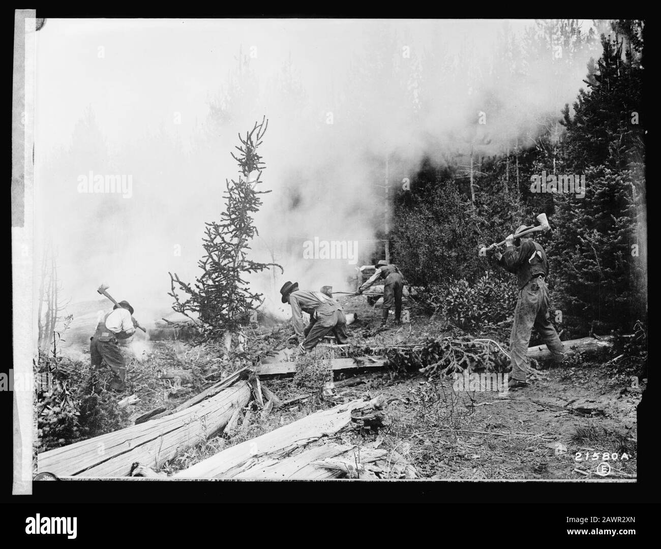 forest-service-fighting-a-forest-fire-stock-photo-alamy