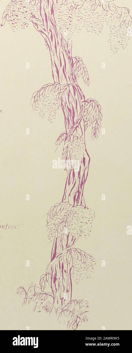 Booksubjectdavidso High Resolution Stock Photography And Images Alamy