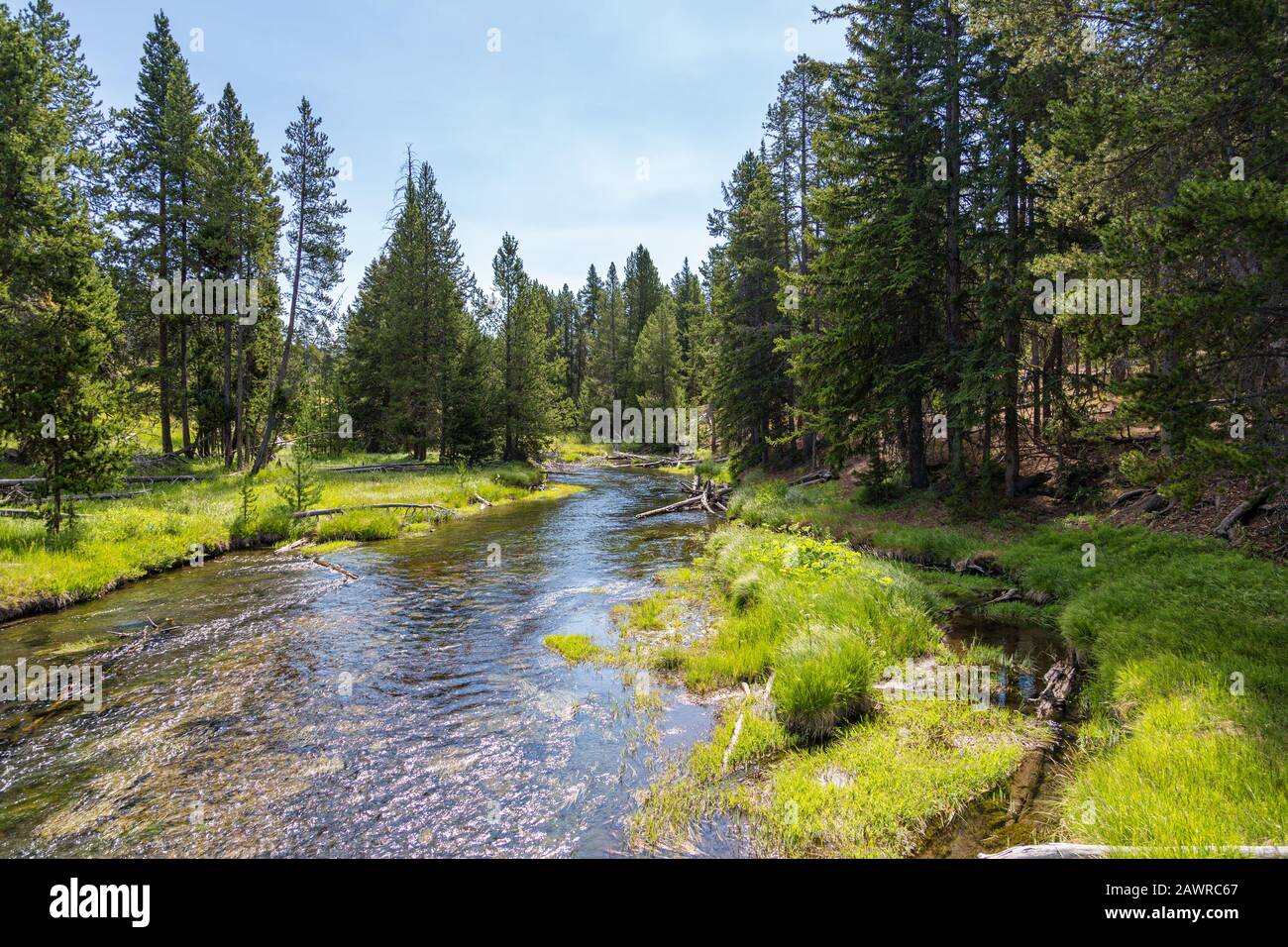Yellowstone River landscape with beautiful forest reflection in Yellowstone National Park Stock Photo