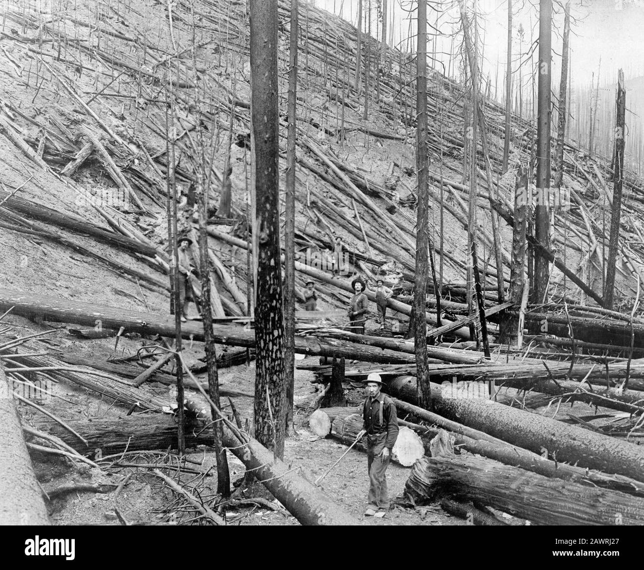 St. Joe River Stock Photo Alamy
