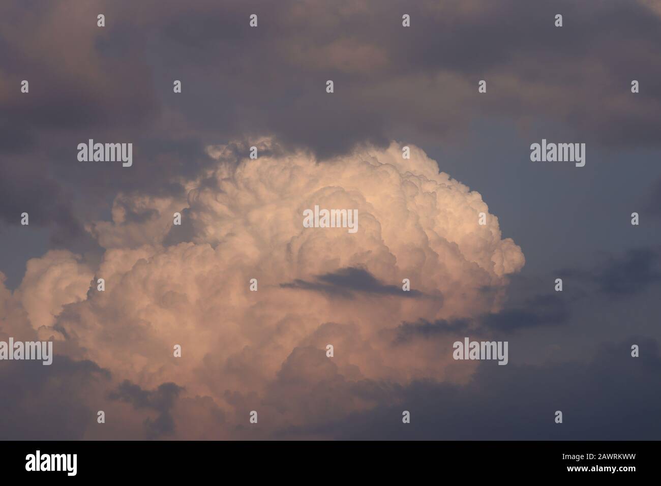 close-up or front view of black and white clouds under the clear blue sky in rain season , clouds texture and background -weather concept Stock Photo
