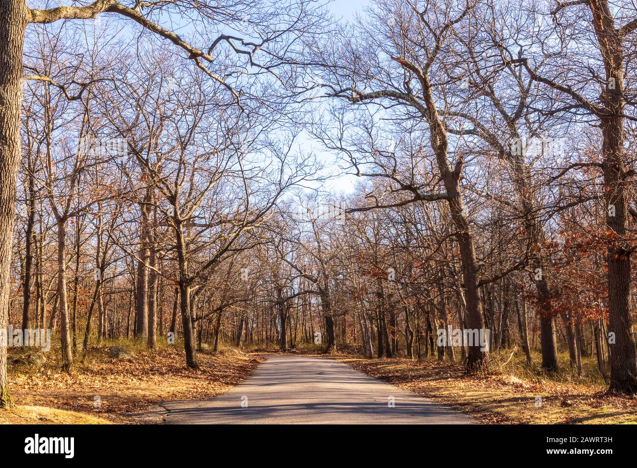 Winter landscape without snow, Faxon Park, Quincy, Massachusetts Stock