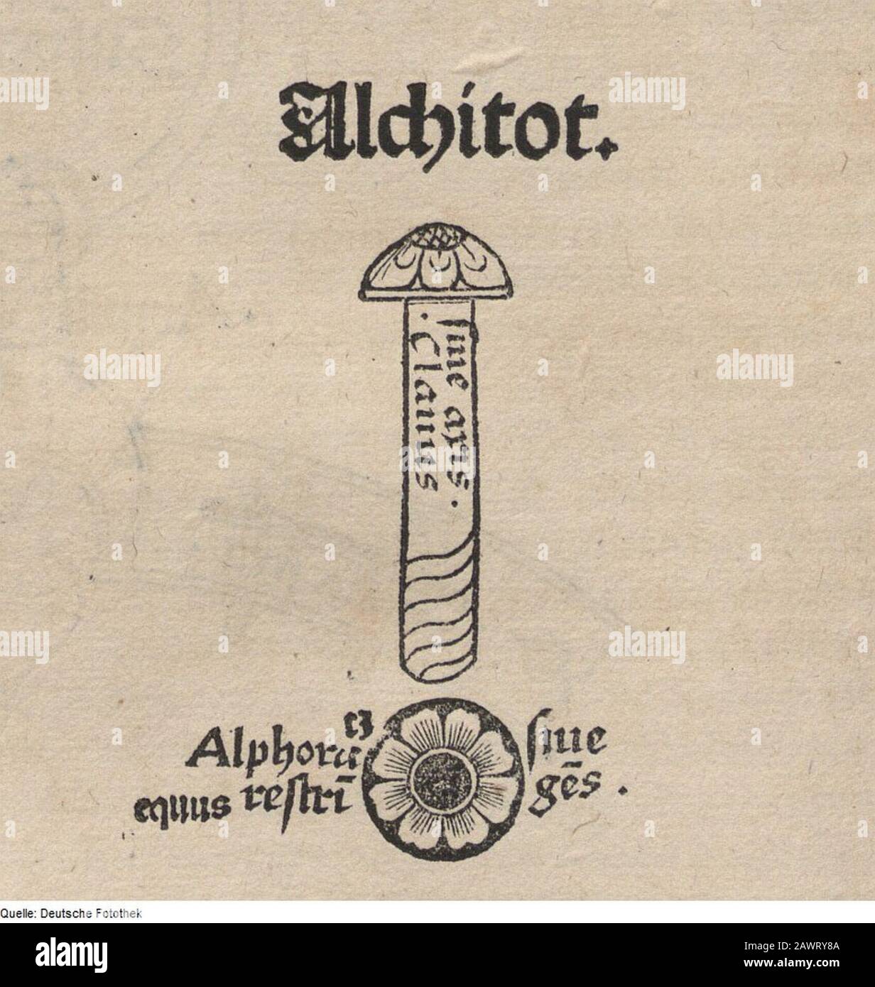 Fotothek df tg 0001331 Astronomie ^ Sternkarte ^ Messinstrument ^ Schraube. Stock Photo