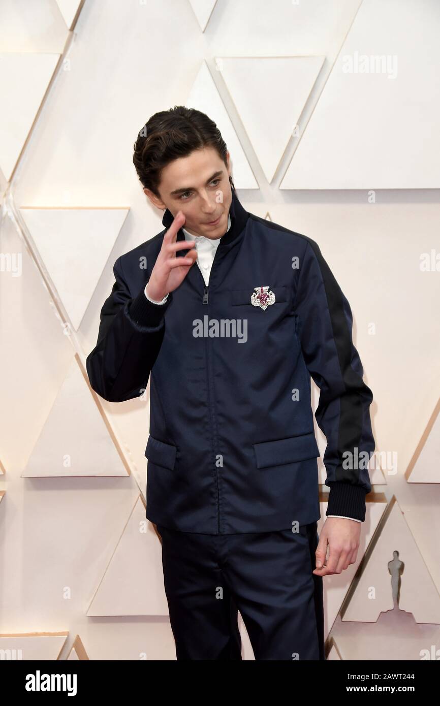Timothee Chalamet walking on the red carpet at the 92nd Annual Academy ...