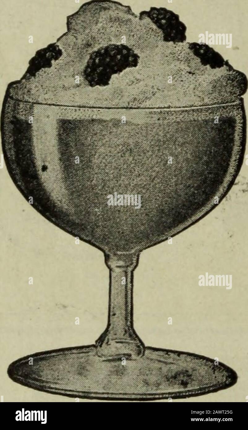 The Boston Cooking School Magazine Of Culinary Science And Domestic Economics The New Can Be Made In A Jiffy With The Aid Of Fruit Berries Whippedcream Etc The Practical Housewife Canserve